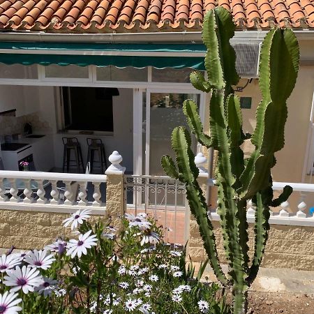 La Siesta Appartement Benidorm Buitenkant foto